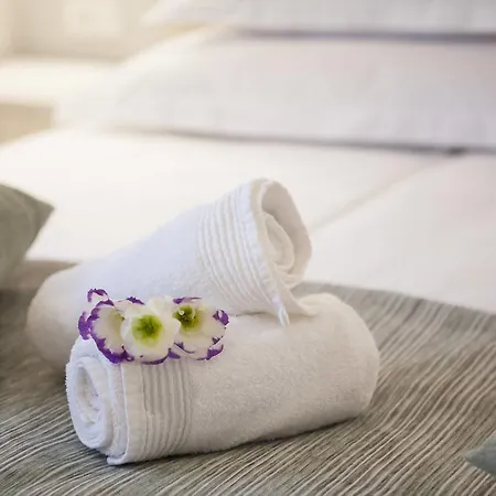 Balatura The Fine 4* Split