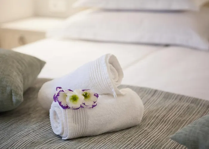 Balatura The Fine 4* Split