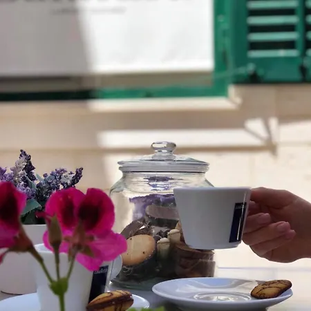 B&B Balatura The Fine